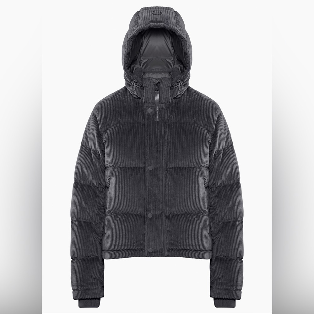 Aritzia Super World - Super Puff Shorty in Elegant Charcoal